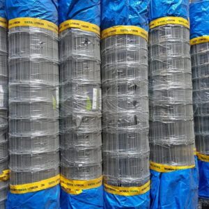 WhatsApp Image 2026-04-17 at 2.03.05 PM (3)